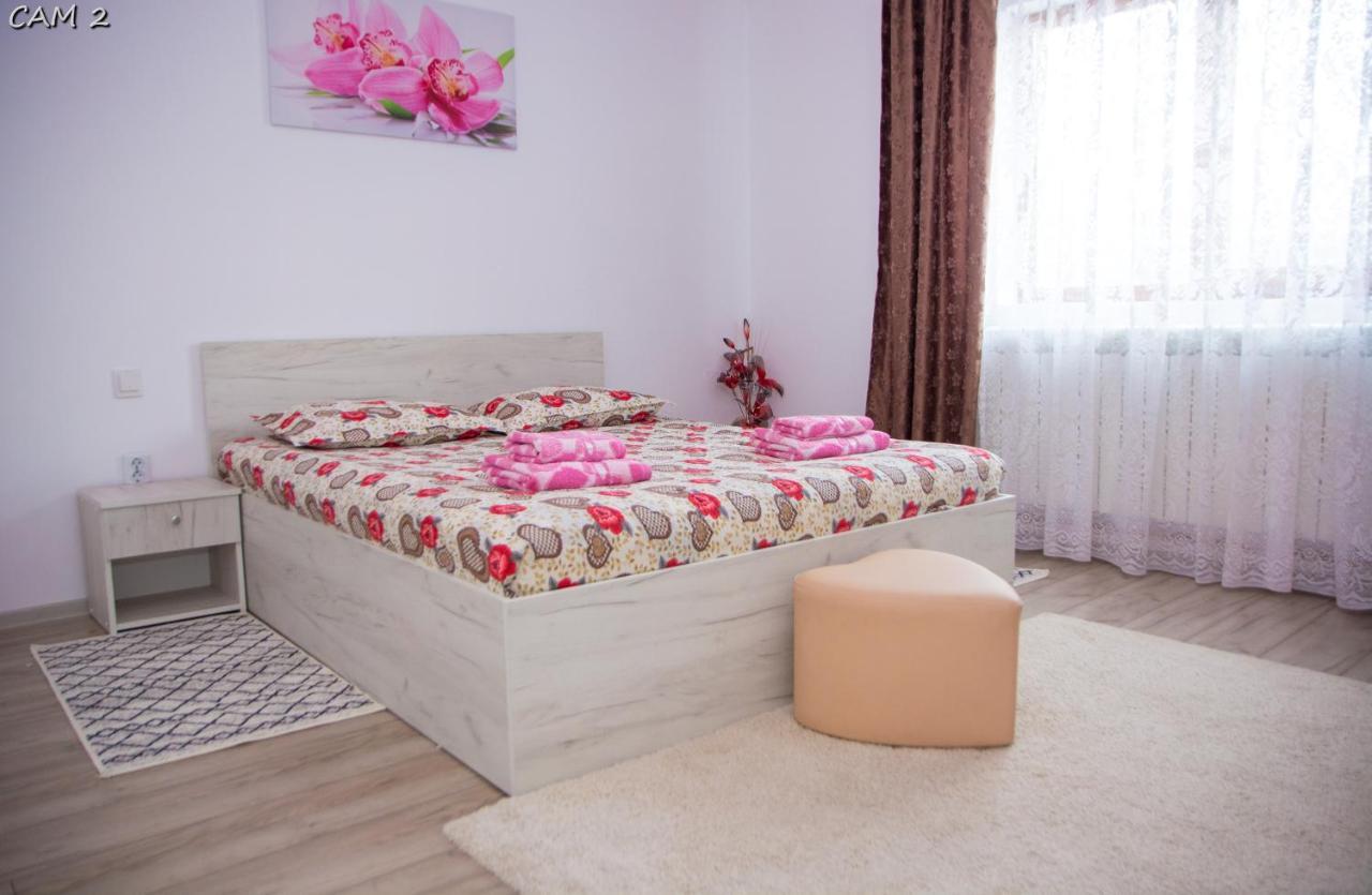 Casa Stefania 1 Lejlighed Călimăneşti Eksteriør billede
