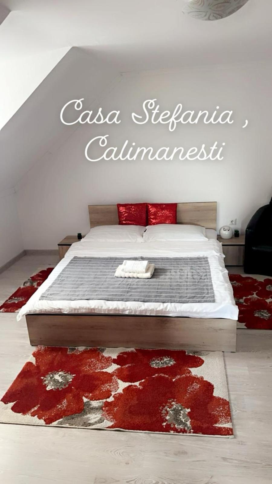 Casa Stefania 1 Lejlighed Călimăneşti Eksteriør billede